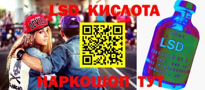 крисы Бийск