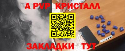крисы Бийск