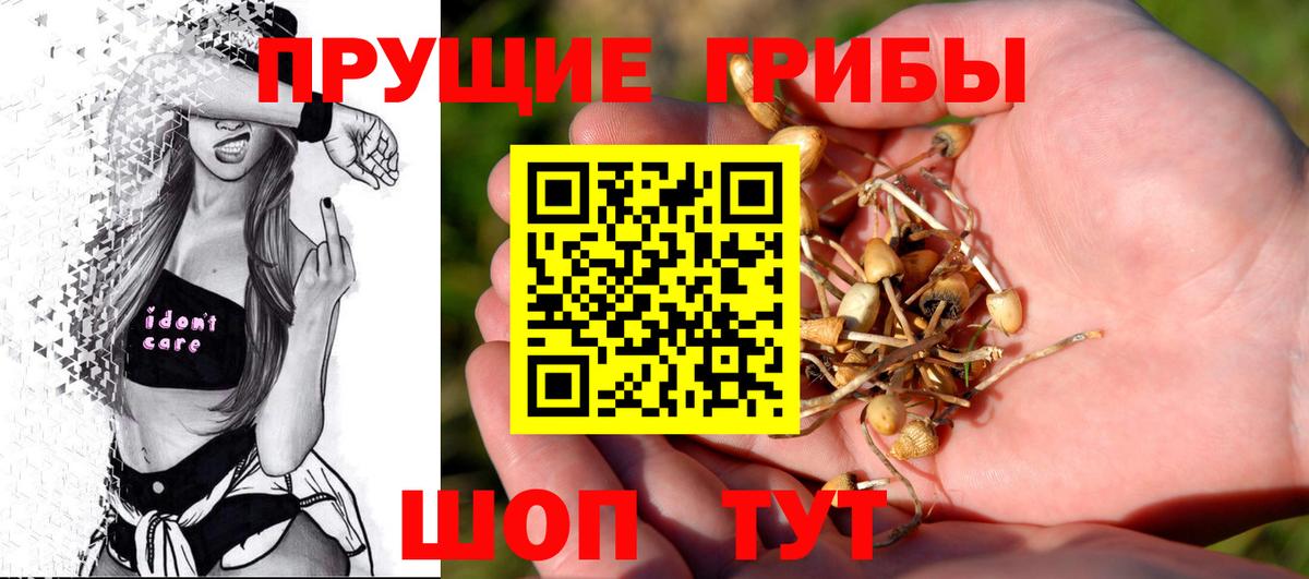 что такое наркотик  Галлюциногенные грибы Magic Shrooms  Вход с VPN  Кольчугино 